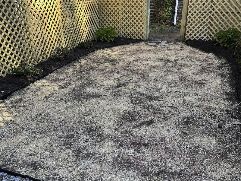 Narrow lawn area with boundary wall