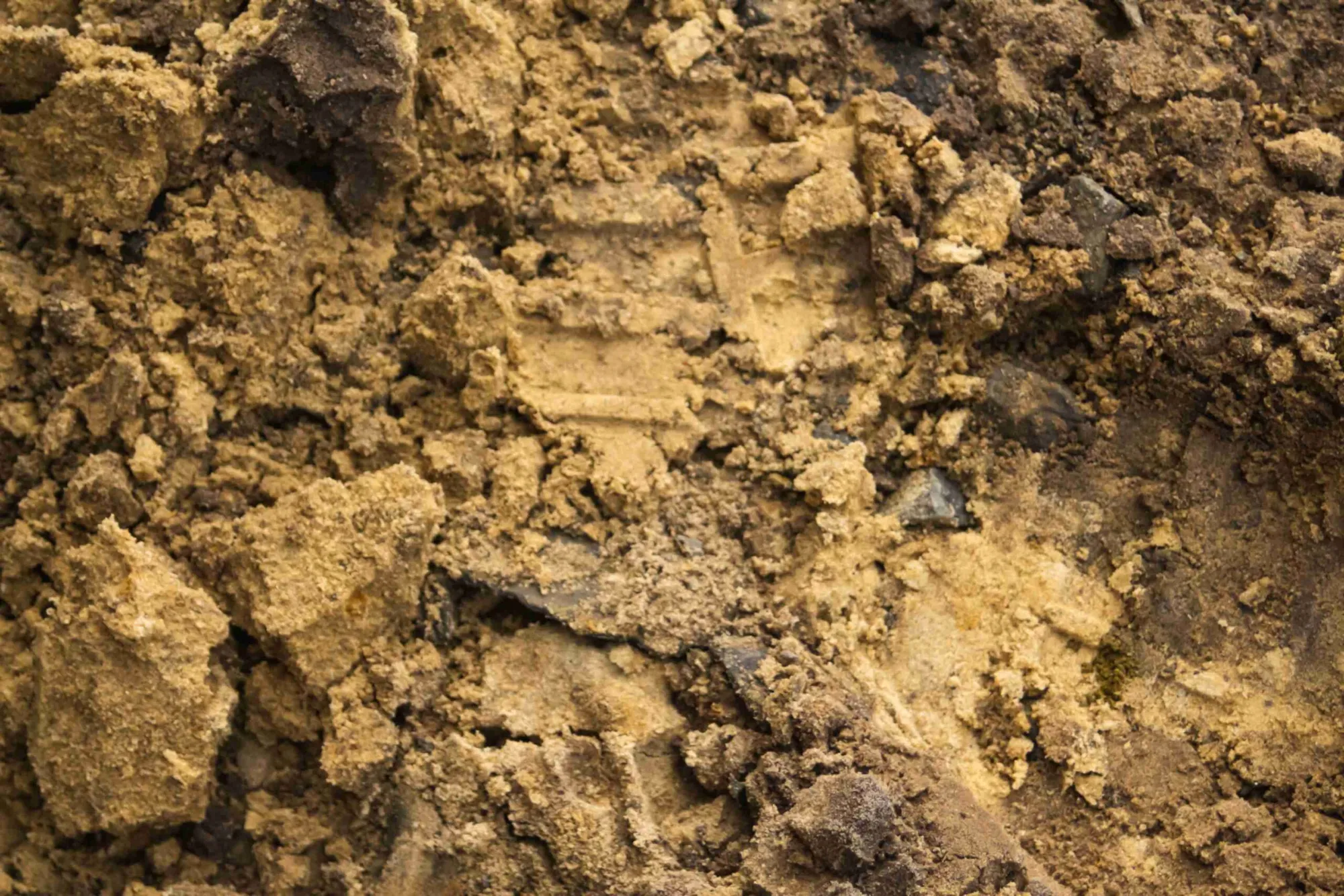 Can Grass Grow In Clay? (Solved)