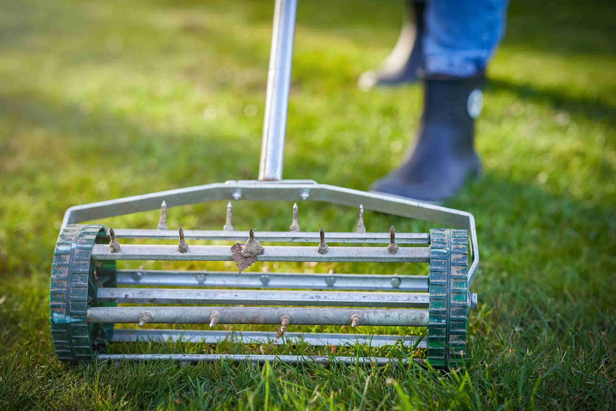 Can You Over Aerate Your Lawn? (Explained)