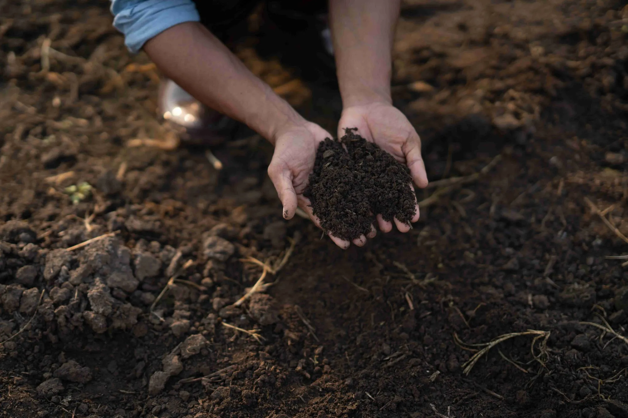 Can You Use Garden Soil For Grass? (Solved)