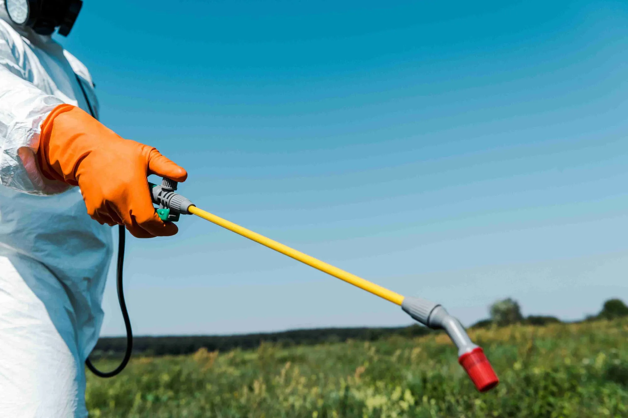 Glyphosate Vs Diquat (Compared)