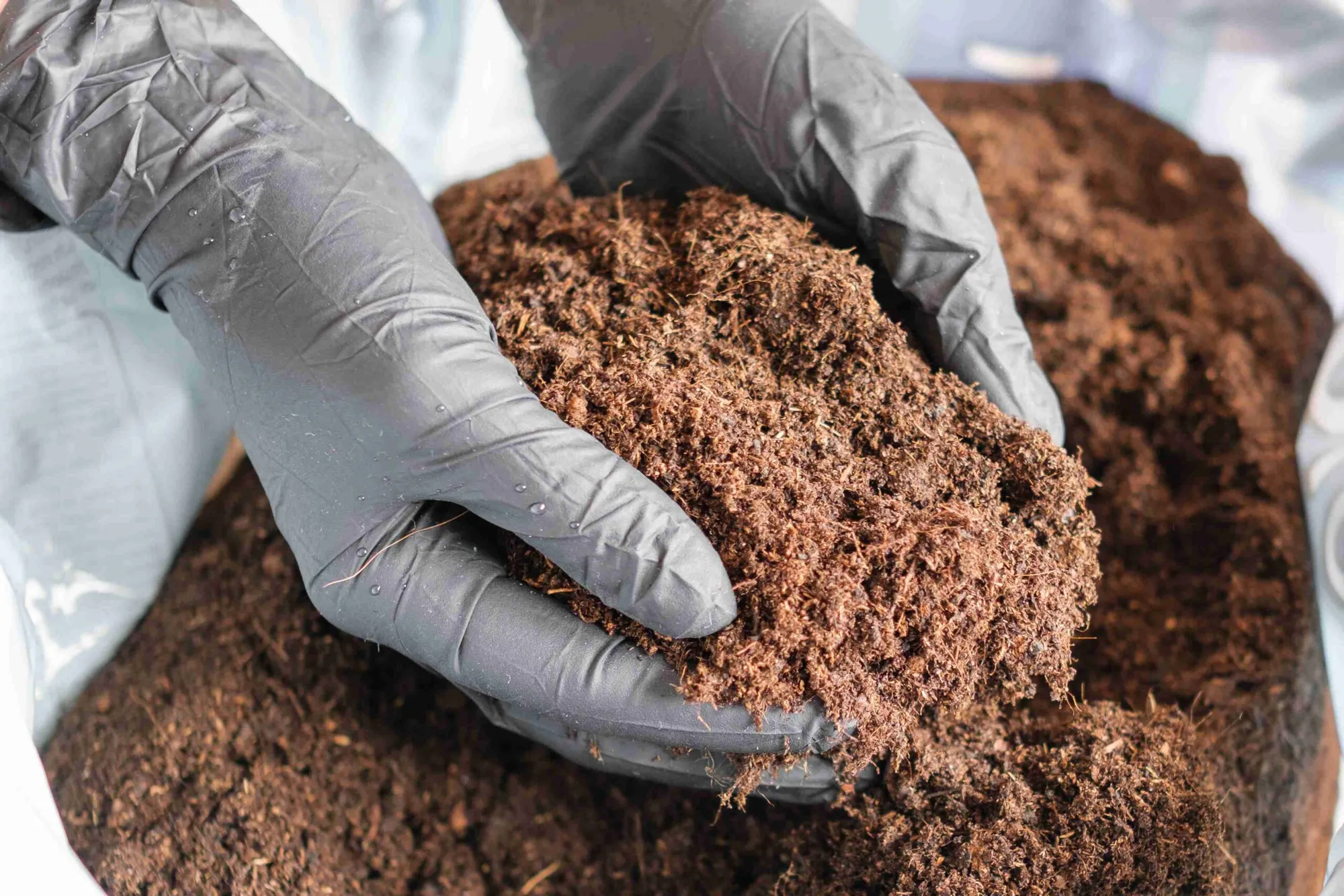 How Much Peat Moss Do I Need? (Guide)