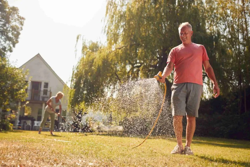 How To Fix Too Much Iron In Lawn