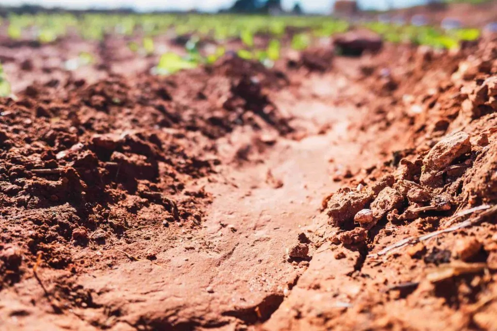 How To Prepare Clay Soil For Grass