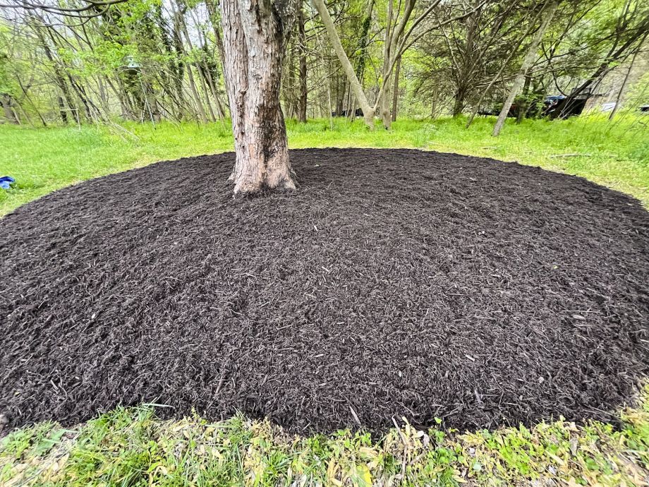 Mulch spreading around a tree in a garden
