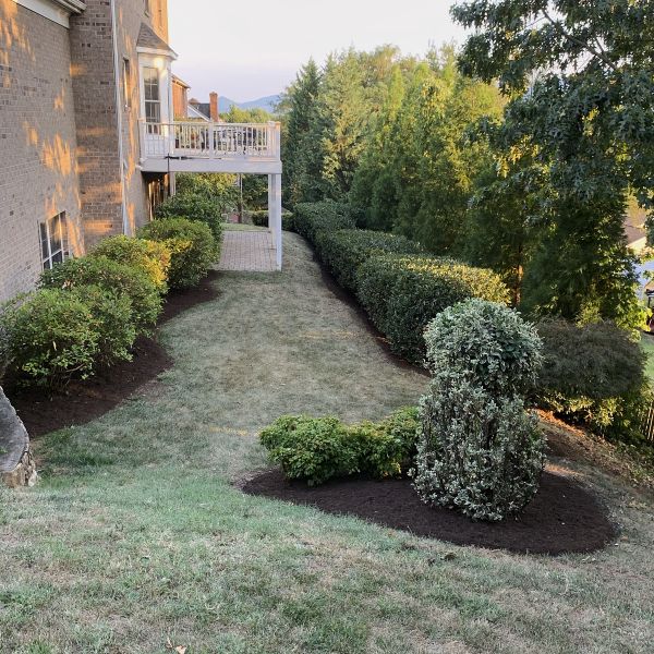 Landscaping services in Virginia