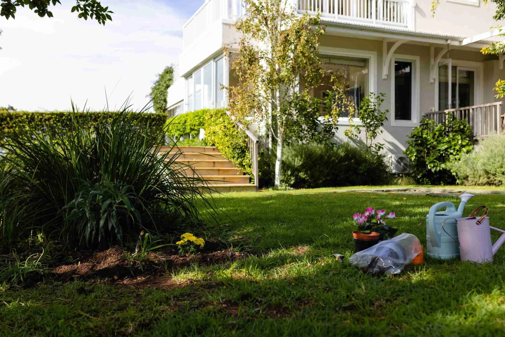 Too Much Iron In Lawn? (Read This Guide)