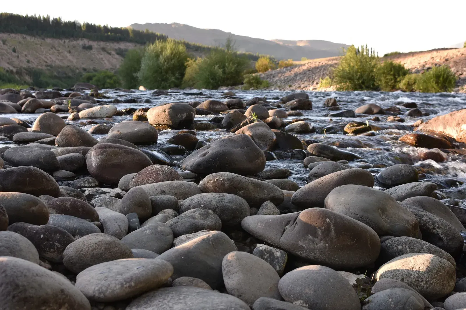 Can I Put River Rocks Around Trees Explained