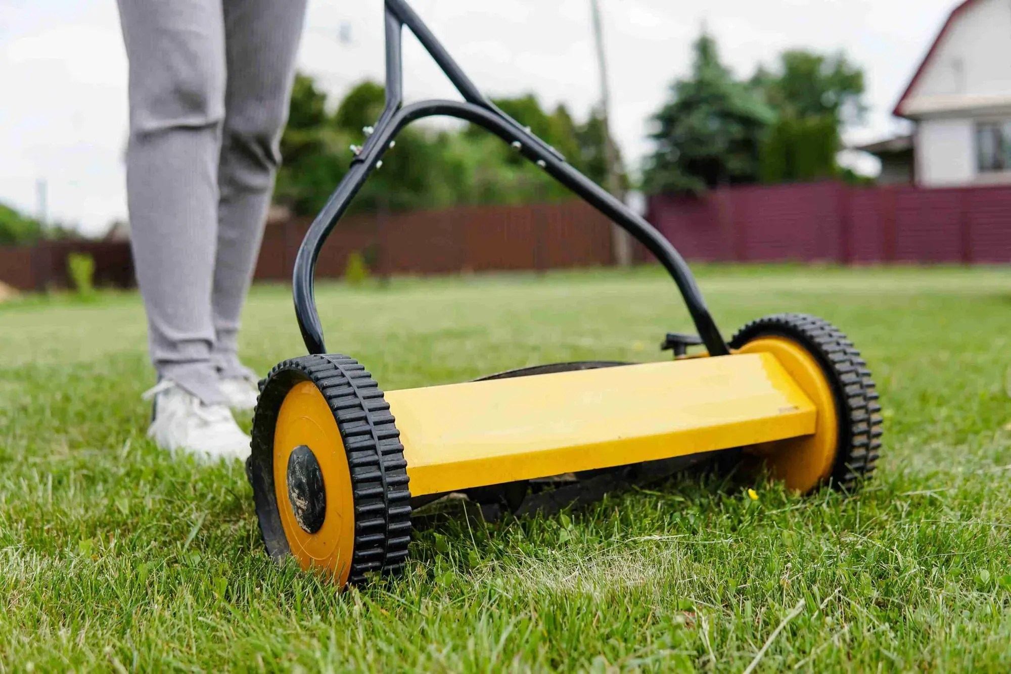 7 Great Reel Mowers For Bermuda Grass