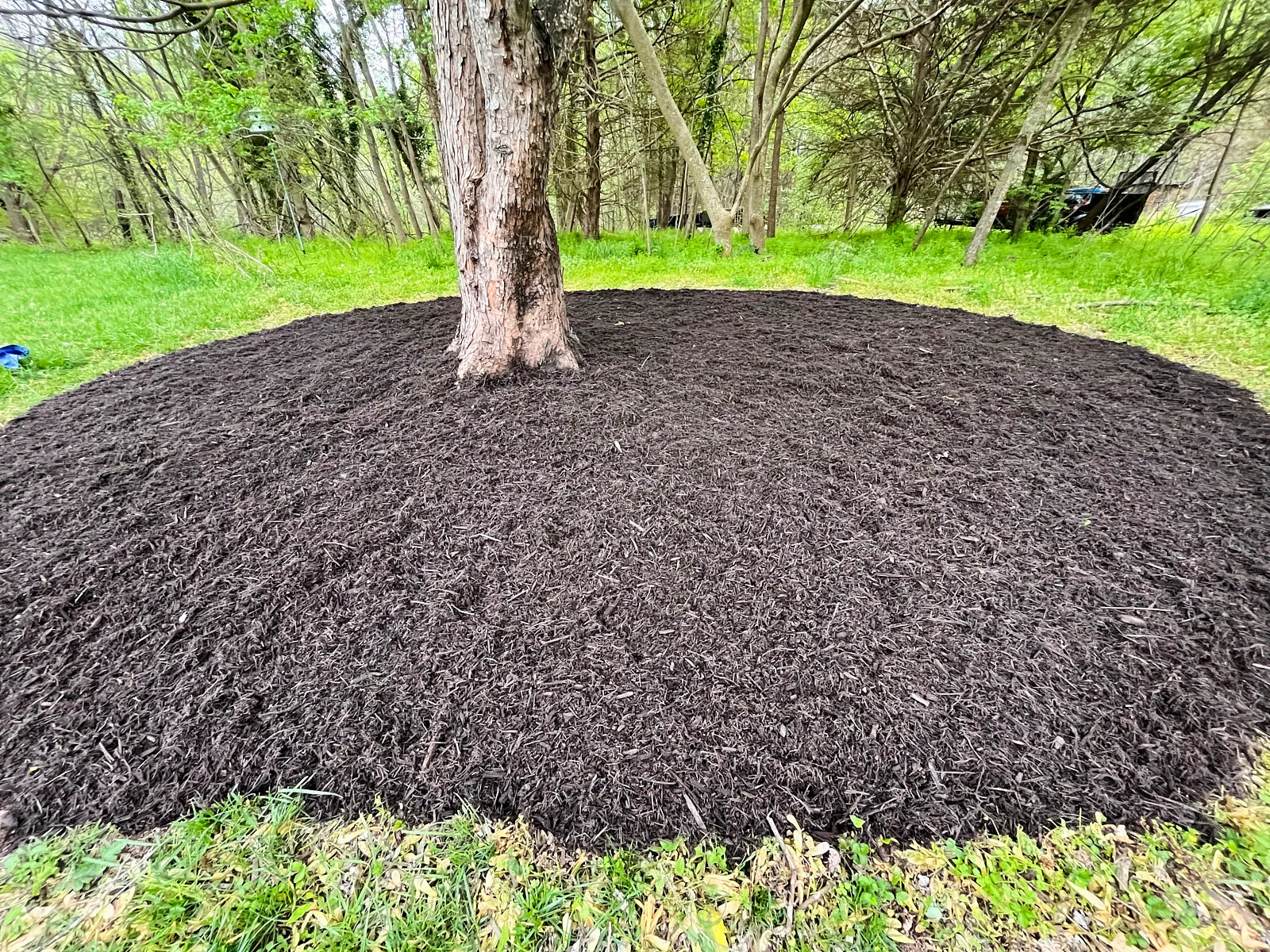 The Dangers Of Root Intrusion