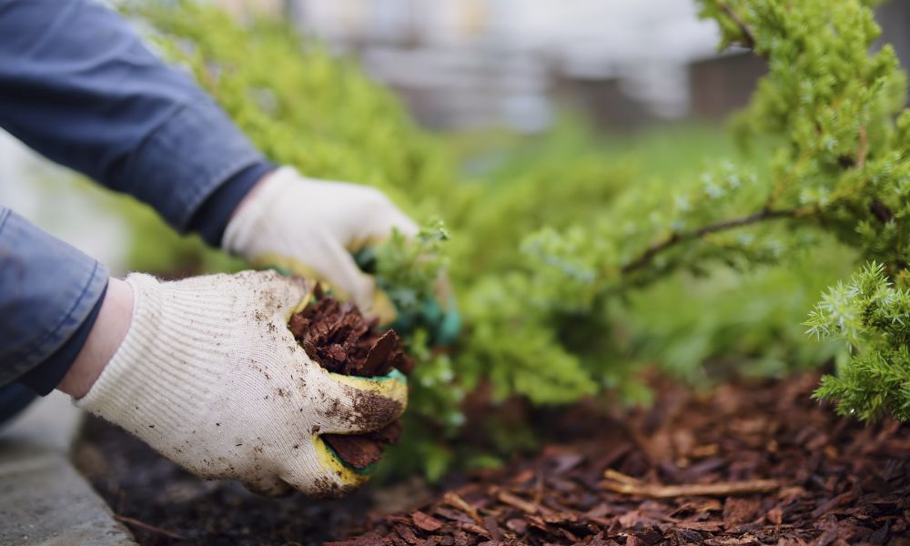 Close up of landscaping work