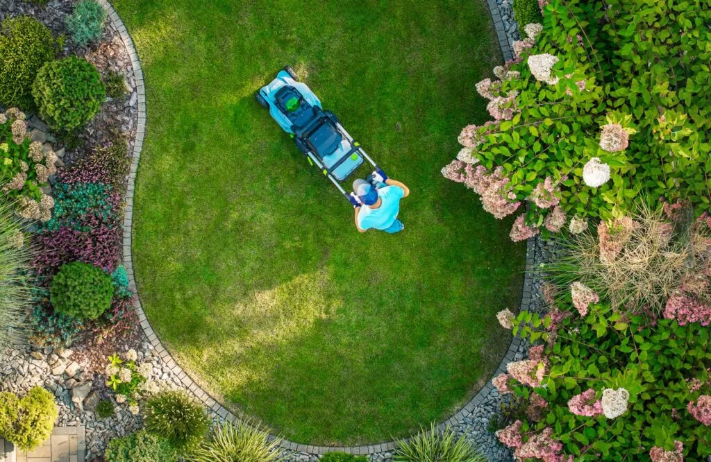 Man Mowing Lawn Before Applying Cayenne Pepper For Grass Control Resized