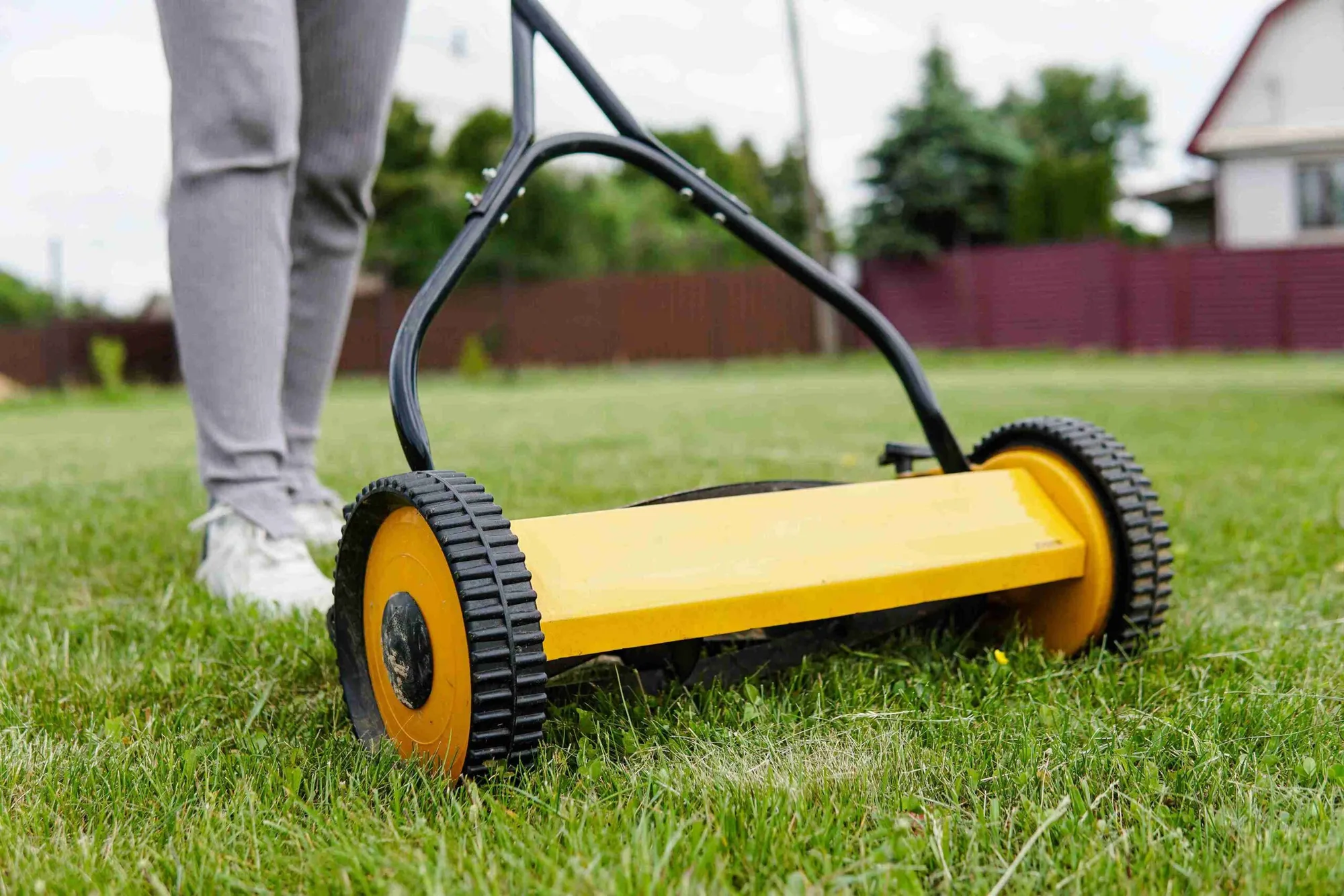 7 Great Reel Mowers For Bermuda Grass